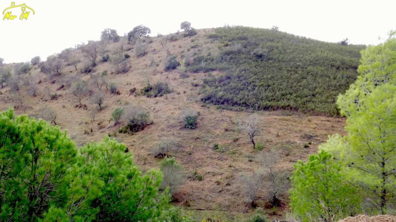 Terreno Agricola ou Rústico para Venda em Castro Marim Foto 11
