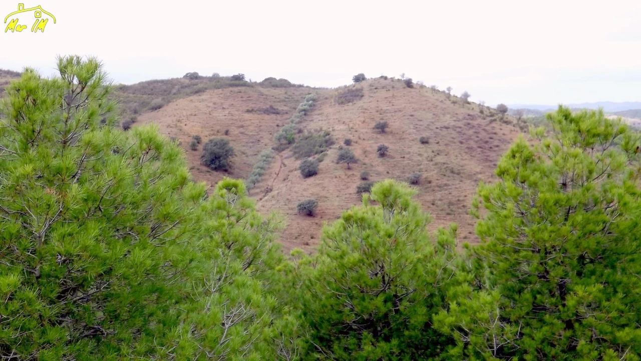 Terreno Agricola ou Rústico para Venda em Castro Marim Foto 3