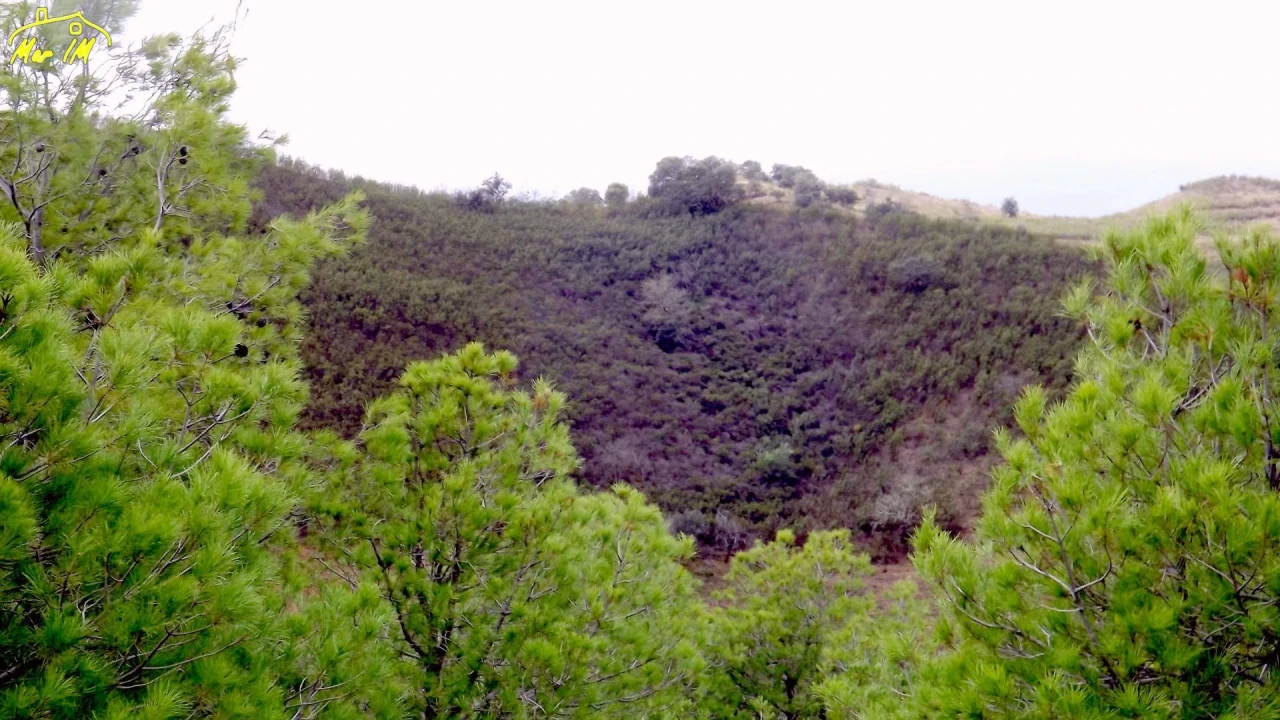 Terreno Agricola ou Rústico para Venda em Castro Marim Foto 4