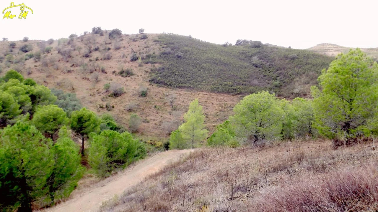 Terreno Agricola ou Rústico para Venda em Castro Marim Foto 6