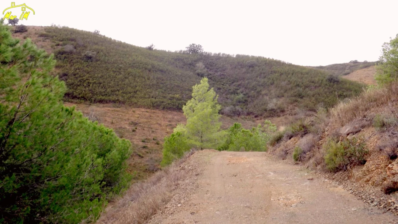 Terreno Agricola ou Rústico para Venda em Castro Marim Foto 8