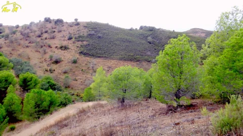 Terreno Agricola ou Rústico para Venda em Castro Marim