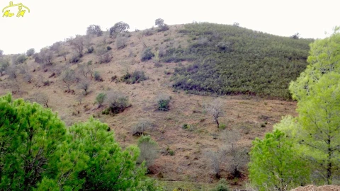 Terreno Agricola ou Rústico para Venda em Castro Marim