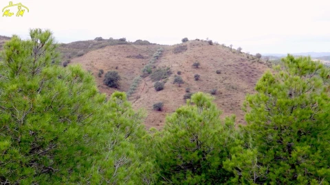 Terreno Agricola ou Rústico para Venda em Castro Marim