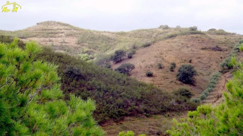 Terreno Agricola ou Rústico para Venda em Castro Marim