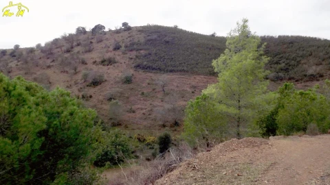 Terreno Agricola ou Rústico para Venda em Castro Marim