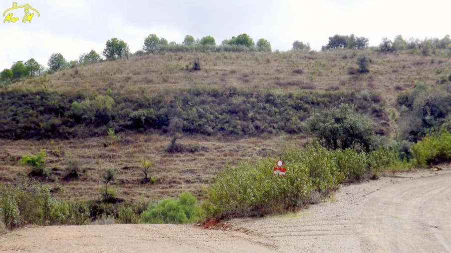 Terreno Agricola ou Rústico para Venda em Castro Marim Foto 12