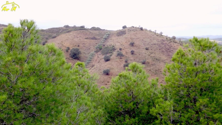 Terreno Agricola ou Rústico para Venda em Castro Marim Foto 3