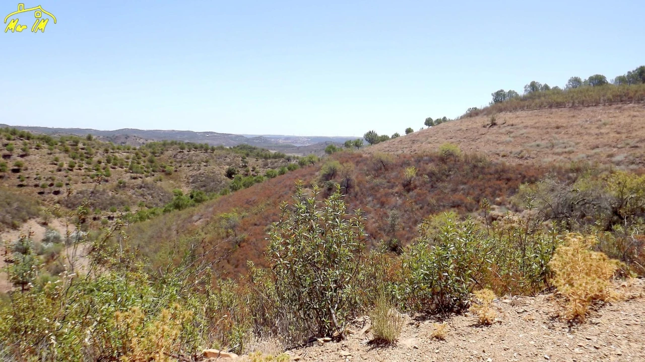 Terreno Agricola ou Rústico para Venda em Castro Marim Foto 12