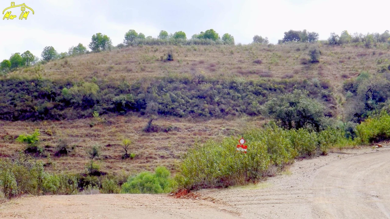 Terreno Agricola ou Rústico para Venda em Castro Marim Foto 15