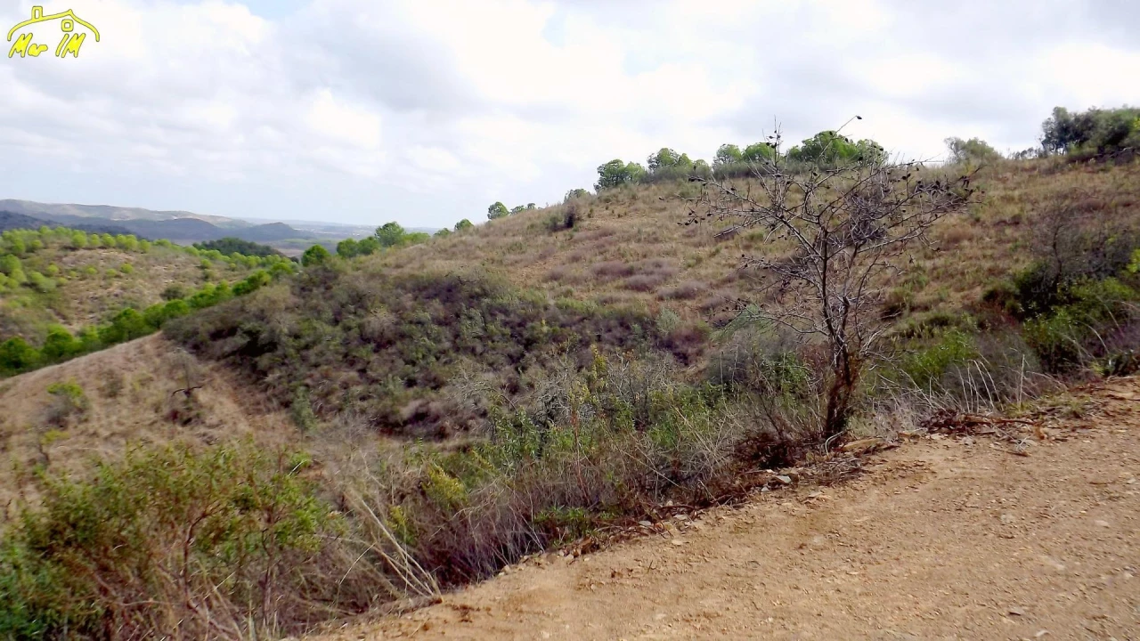 Terreno Agricola ou Rústico para Venda em Castro Marim Foto 19