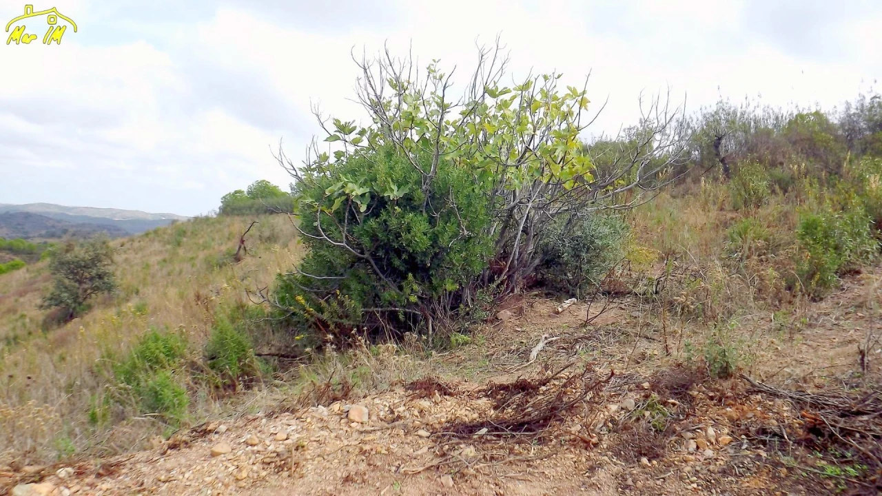 Terreno Agricola ou Rústico para Venda em Castro Marim Foto 21
