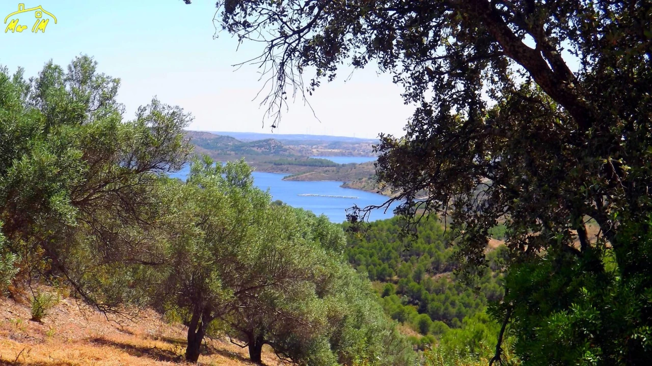Terreno Agricola ou Rústico para Venda em Castro Marim Foto 3