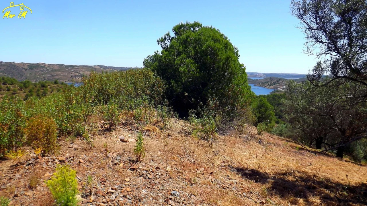 Terreno Agricola ou Rústico para Venda em Castro Marim Foto 35