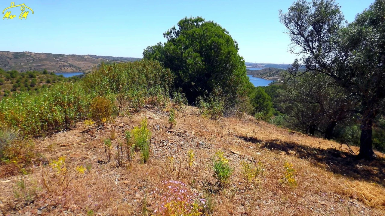 Terreno Agricola ou Rústico para Venda em Castro Marim Foto 36