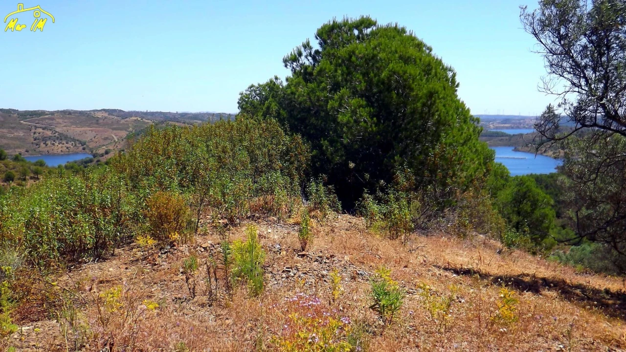 Terreno Agricola ou Rústico para Venda em Castro Marim Foto 38