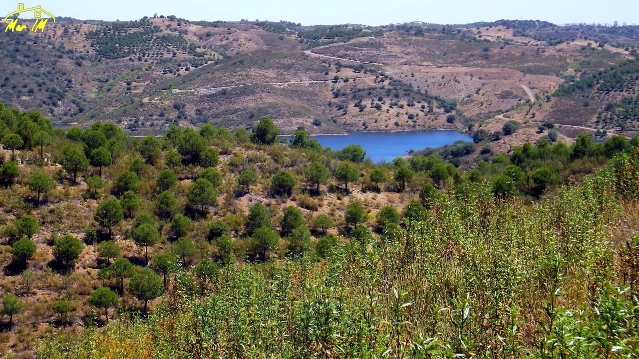 Terreno Agricola ou Rústico para Venda em Castro Marim Foto 39