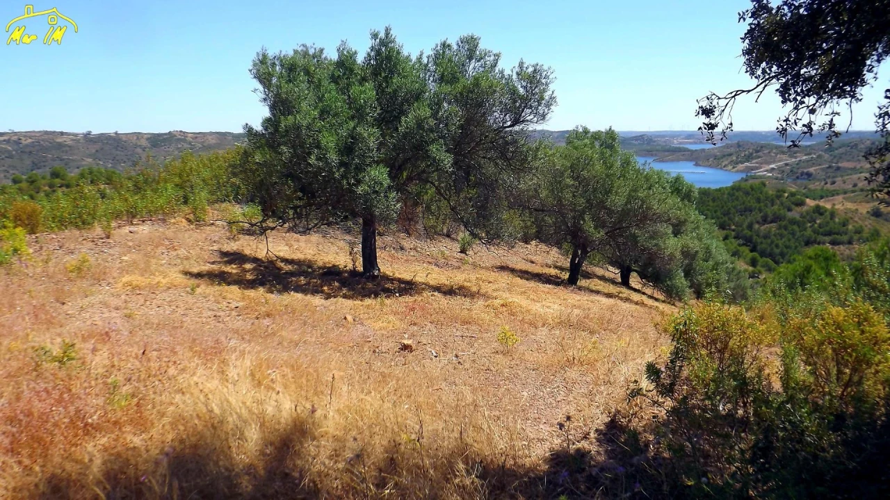 Terreno Agricola ou Rústico para Venda em Castro Marim Foto 42