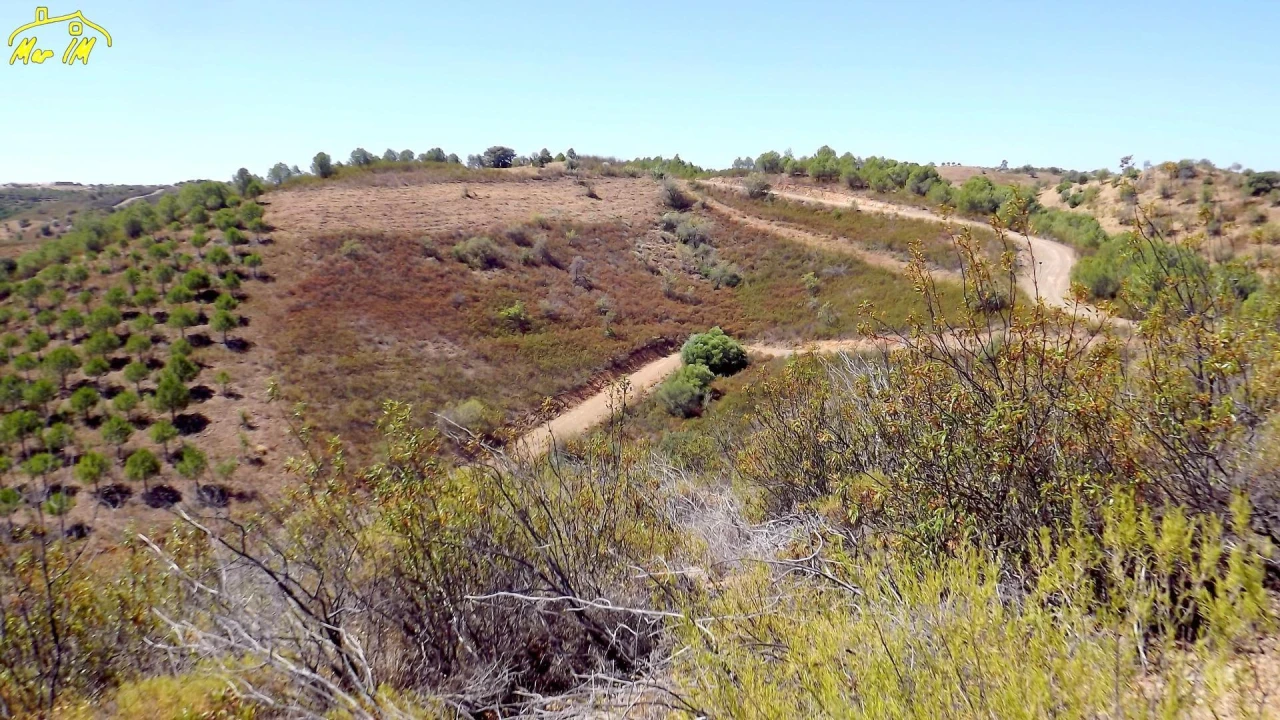 Terreno Agricola ou Rústico para Venda em Castro Marim Foto 5
