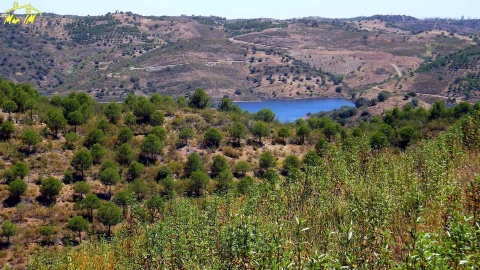 Terreno Agricola ou Rústico para Venda em Castro Marim