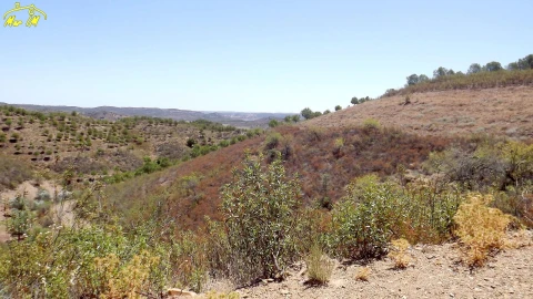 Terreno Agricola ou Rústico para Venda em Castro Marim