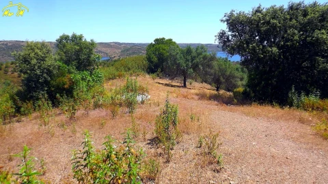 Terreno Agricola ou Rústico para Venda em Castro Marim