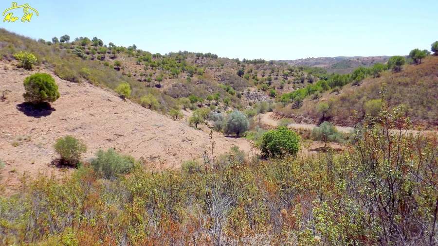 Terreno Agricola ou Rústico para Venda em Castro Marim Foto 11