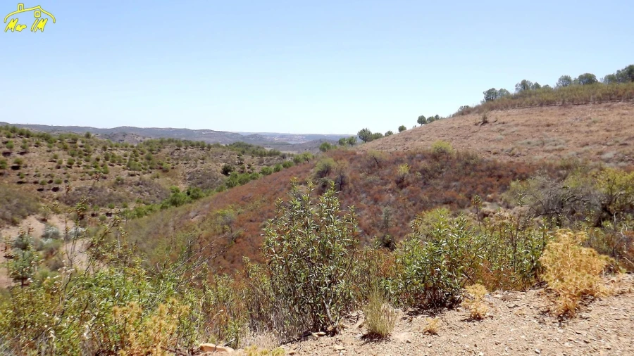 Terreno Agricola ou Rústico para Venda em Castro Marim Foto 12