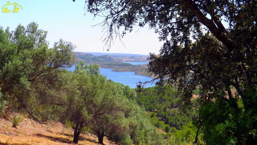 Terreno Agricola ou Rústico para Venda em Castro Marim Foto 3