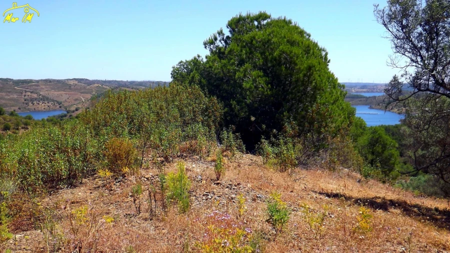 Terreno Agricola ou Rústico para Venda em Castro Marim Foto 38