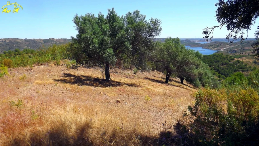 Terreno Agricola ou Rústico para Venda em Castro Marim Foto 42