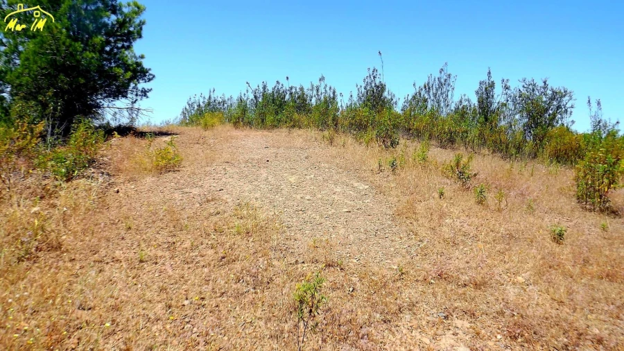 Terreno Agricola ou Rústico para Venda em Castro Marim Foto 44