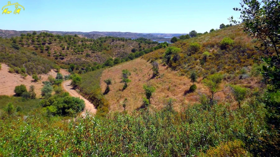 Terreno Agricola ou Rústico para Venda em Castro Marim Foto 47