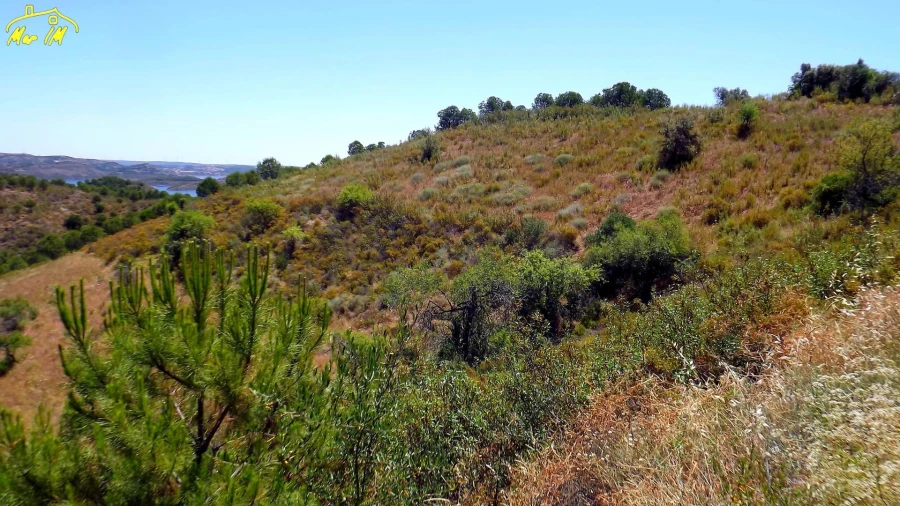 Terreno Agricola ou Rústico para Venda em Castro Marim Foto 48