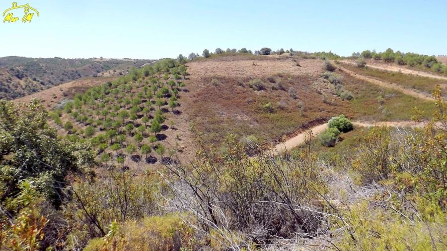 Terreno Agricola ou Rústico para Venda em Castro Marim Foto 7