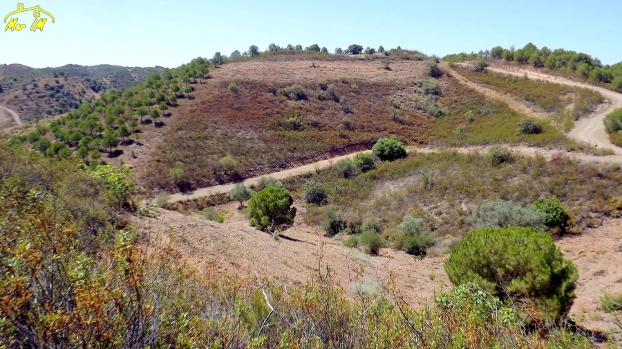 Terreno Agricola ou Rústico para Venda em Castro Marim Foto 8