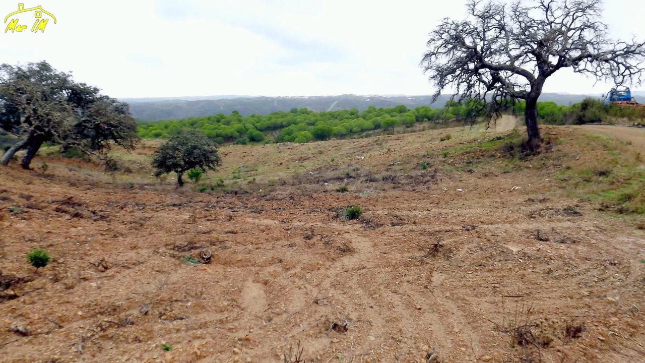 Terreno Agricola ou Rústico para Venda em Castro Marim Foto 19