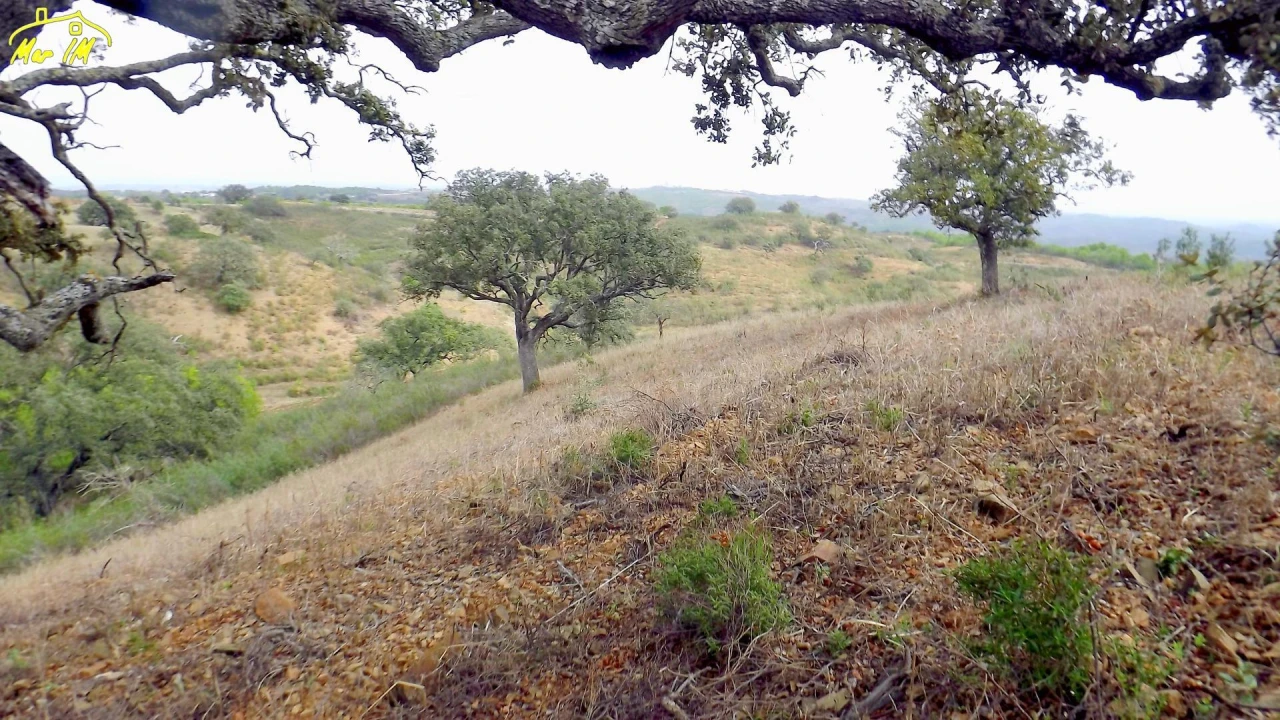 Terreno Agricola ou Rústico para Venda em Castro Marim Foto 21
