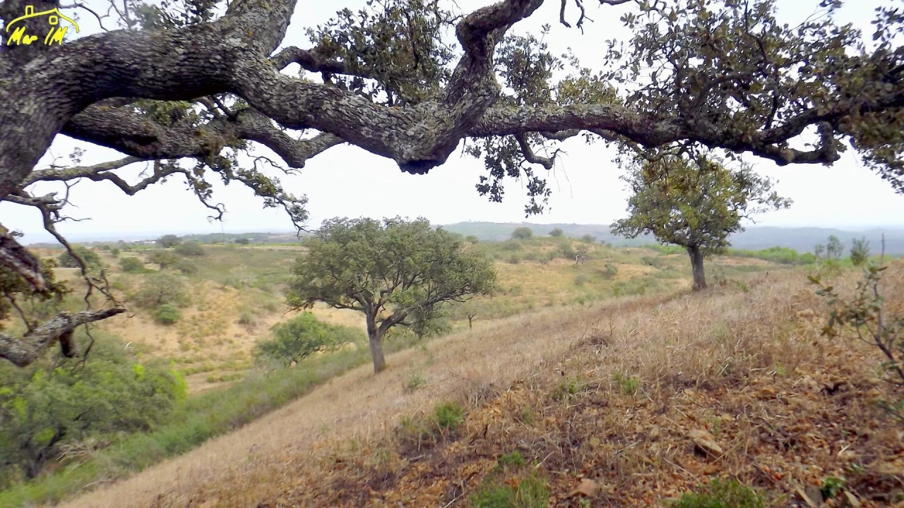 Terreno Agricola ou Rústico para Venda em Castro Marim Foto 22