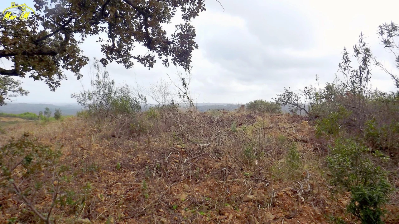 Terreno Agricola ou Rústico para Venda em Castro Marim Foto 23
