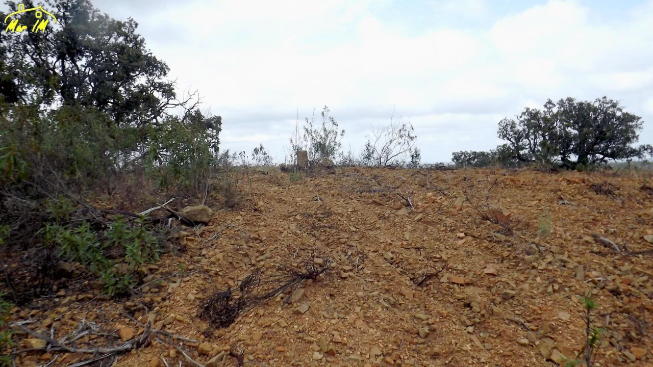 Terreno Agricola ou Rústico para Venda em Castro Marim Foto 3