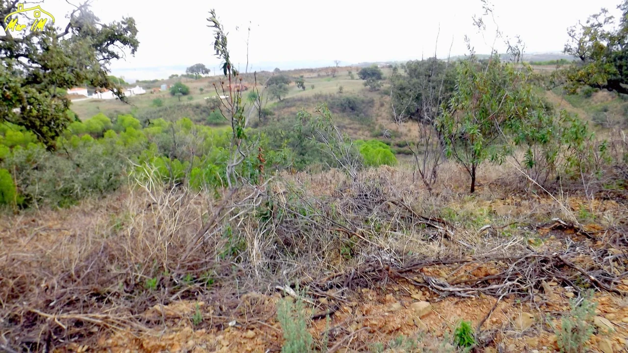 Terreno Agricola ou Rústico para Venda em Castro Marim Foto 7