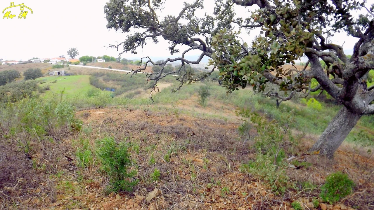 Terreno Agricola ou Rústico para Venda em Castro Marim Foto 9