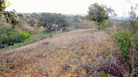 Terreno Agricola ou Rústico para Venda em Castro Marim