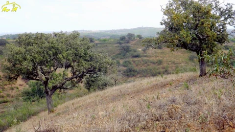Terreno Agricola ou Rústico para Venda em Castro Marim