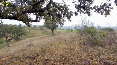 Terreno Agricola ou Rústico para Venda em Castro Marim