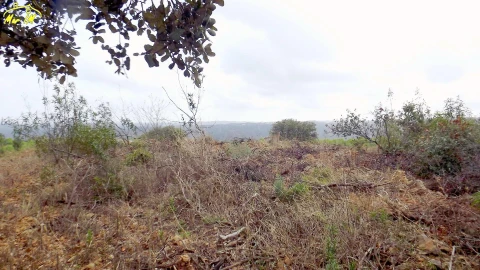 Terreno Agricola ou Rústico para Venda em Castro Marim