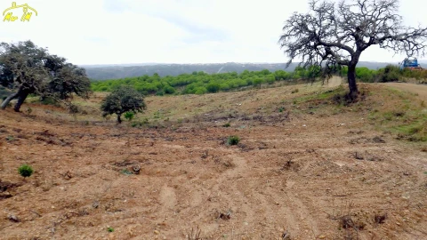 Terreno Agricola ou Rústico para Venda em Castro Marim