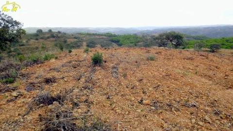 Terreno Agricola ou Rústico para Venda em Castro Marim