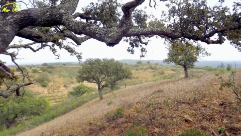 Terreno Agricola ou Rústico para Venda em Castro Marim